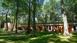 A building with a garden area, including a hammock and trees. - Ferienwohnung für 5 Personen Bernstein 7 - Ferienpark Bernstein (Dranske)