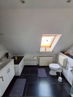 Ducha, secador de pelo, toallas