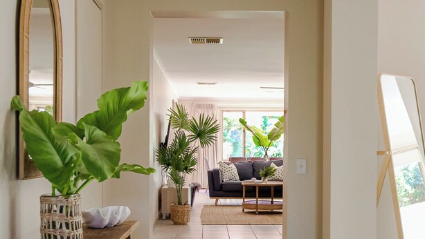 A hallway with a wooden bench, potted plants, a mirror, and a painting on easels. - Beach Pad - 4pm check out Sundays* (Safety Beach)