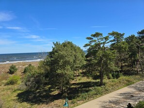 Unclassified image, 2 of 38, button