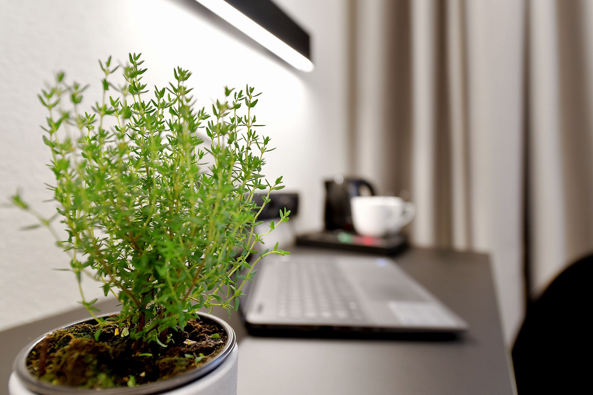 Foto - Herbal Hotel Wrocław