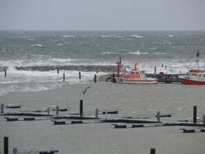 A beach with a rocky breakwater, a red and white boat, and a seagull. - Wohnung 1 und 2 - Strandresidenz-kühlungsborn (Kühlungsborn)