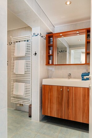 Ducha, secador de pelo, toallas y papel higiénico