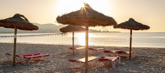 Apartment Playa 2D in Puerto de Alcudia