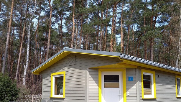 Een klein, gelijkvloers blokhut met terras, omringd door hoge dennenbomen.