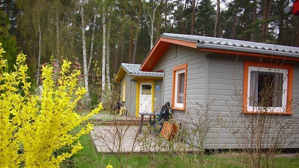 Une cabane avec une véranda, une petite terrasse et un jardin agrémenté de plantes à fleurs jaunes.