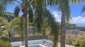 Una piscina rectangular con borde de baldosas, rodeada de palmeras y un césped cuidado.