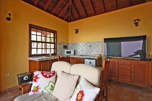 Televisor