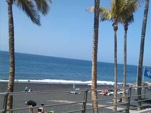 Ein Strand mit Palmen und freiem Blick auf den Ozean.