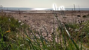 Een strand met zand en weinig begroeiing.