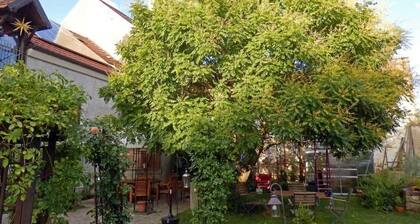 Herberge Alte Meisterey - Einzelzimmer online