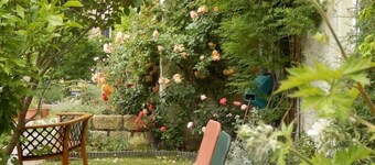 Herberge Alte Meisterey - Einzelzimmer Online