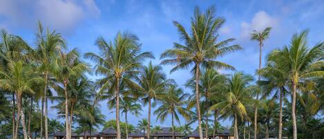 Villa Ananda | 6 bedrooms, in-room safe, desk, blackout drapes