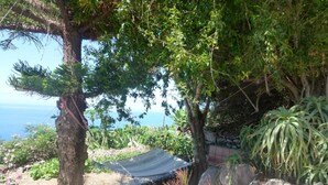 A garden with a hammock, various plants, and a view of the sea. - Apartment Rosa 1 - Apartments Rosa (Tijarafe)