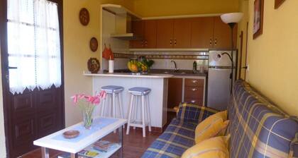 Apartment Rosa 1 - Apartments Rosa