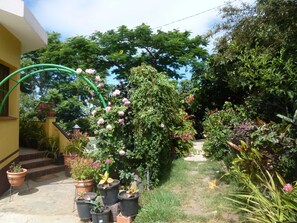 Imagen sin descripción, 4 de 14, botón