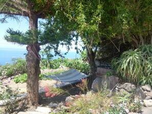 Property grounds - Apartment Rosa 2 - Apartments Rosa (Tijarafe)