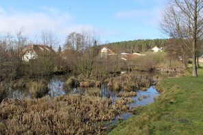 Immagine non classificata, 5 di 16, pulsante