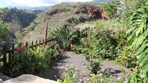 Ein Gartenweg mit Holzzaun, umgeben von verschiedenen Pflanzen und Blumen.