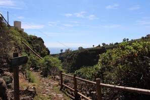 Unclassified image, 3 of 20, button