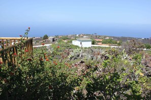 Unclassified image, 4 of 21, button