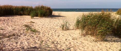 Beach nearby