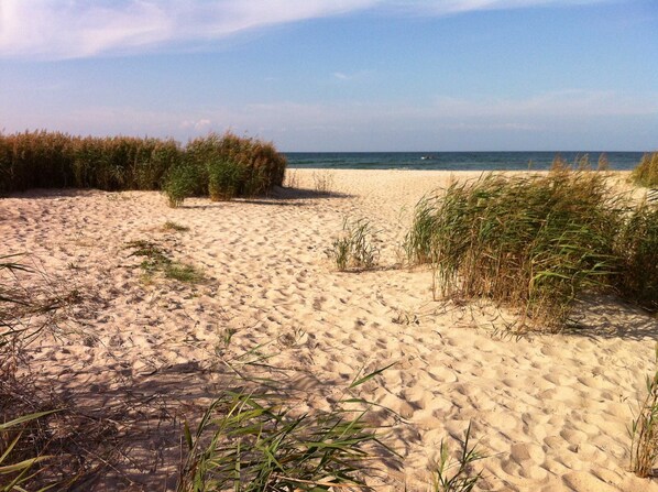 Nära stranden