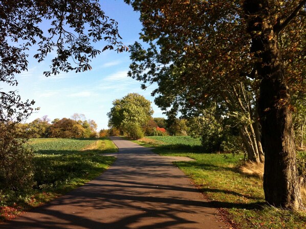 Unclassified image, 1 of 13, button