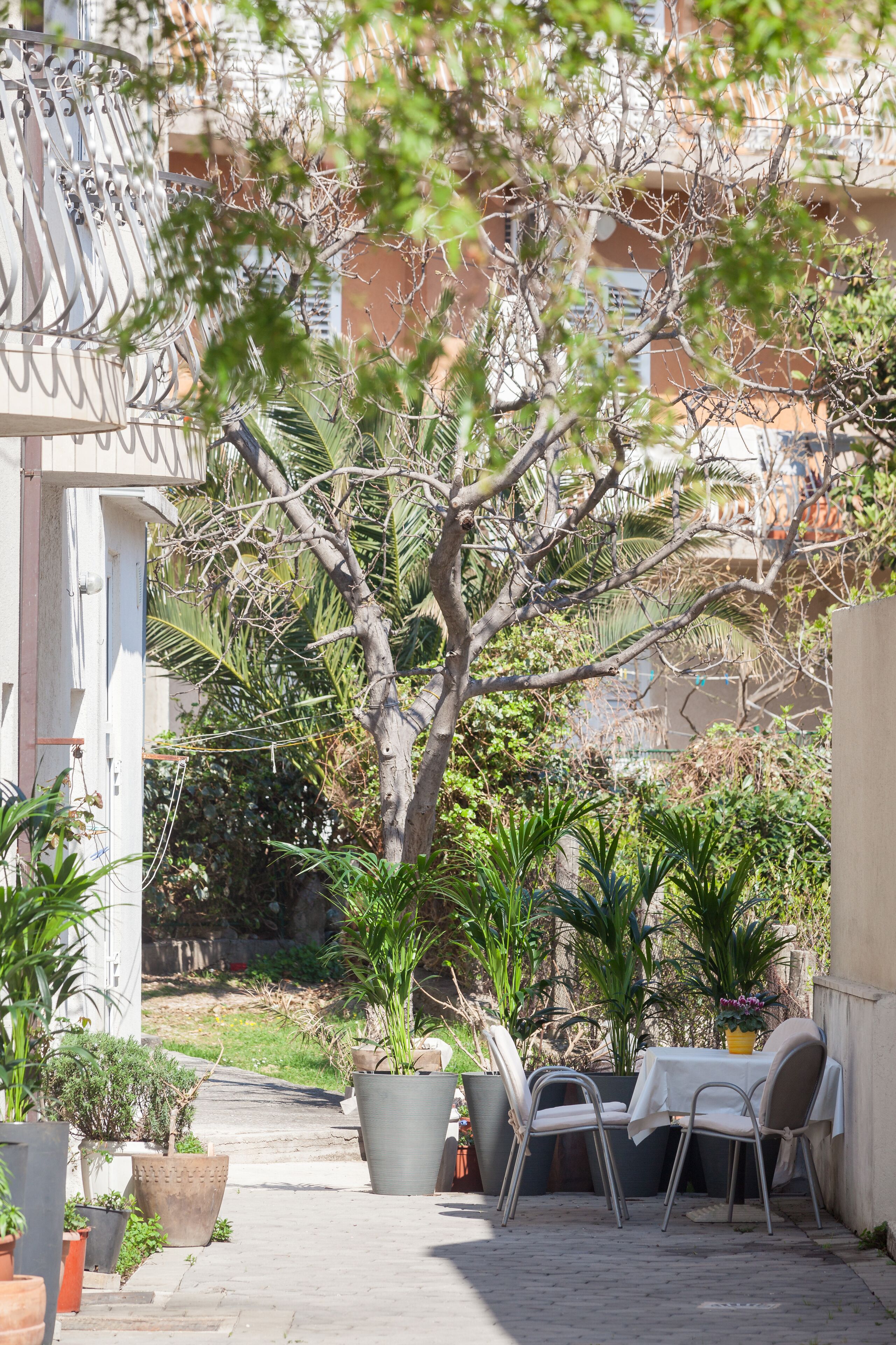 Terrasse/patio