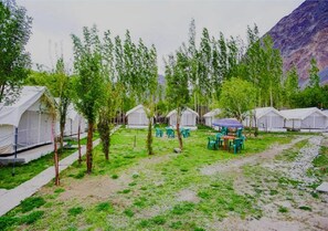 Deluxe camp | View from room