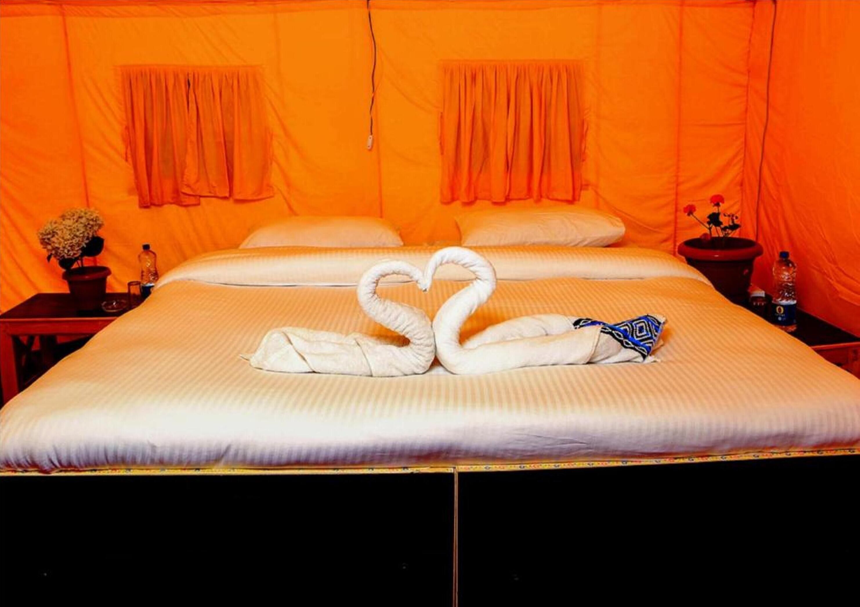 Deluxe camp | Escritorio, camas extra y ropa de cama 