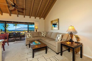 Televisión, reproductor de DVD, libros