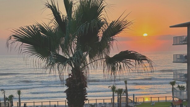 A pool area with lounge chairs, a palm tree, and a view of the ocean at sunset. - Find your home away from home in the Happy Landing unit (New Smyrna Beach)