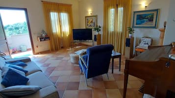 TV connectée, cheminée, livres, espaces bureaux