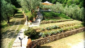 Un sendero de piedra que lleva a un pabellón en un jardín exuberante con olivos y plantas con flores.