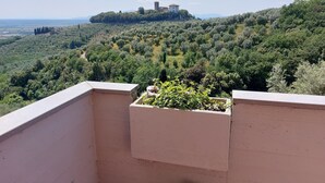 Un balcón con vistas a una colina con árboles y un edificio en la cima.