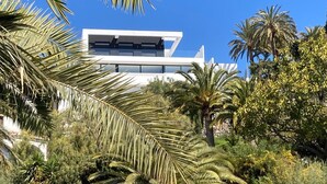 Un bâtiment moderne doté d’un toit plat et de grandes fenêtres, entouré de palmiers et d’autres plantes.