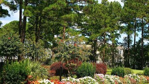 A well-maintained garden with various plants and flowers, surrounded by tall trees and a building in the background. - Golf Resort Villa 509 within Walking Distance to Food and the Pool by RedAwning (Calabash)
