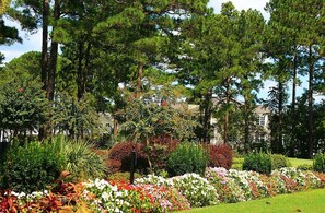 Villa, 2 Bedrooms | Property grounds - Golf Resort Villa 509 within Walking Distance to Food and the Pool by RedAwning (Calabash)