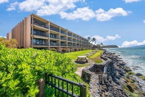 Condo, 1 habitación | Áreas de la propiedad