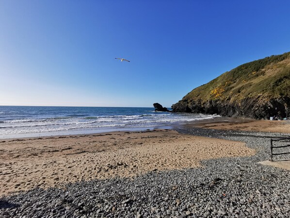 Beach nearby - Ivy Cottage (Llanfyrnach)