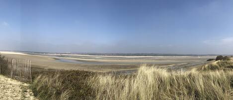 Un paysage côtier caractérisé par des dunes de sable, des zones herbeuses et un ciel dégagé.