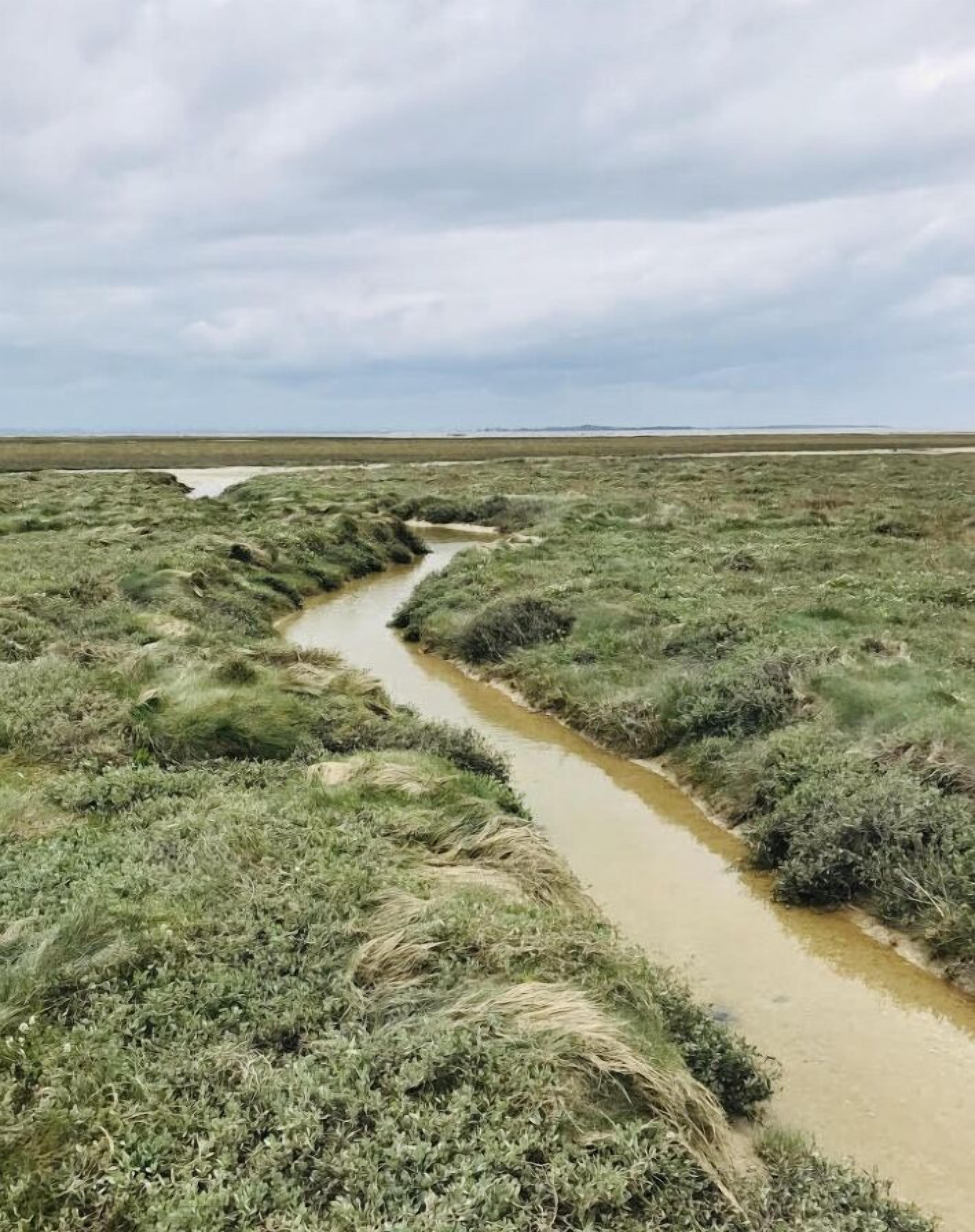 Paisaje natural con un estrecho canal de agua serpenteando entre terreno cubierto de hierba.