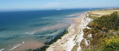 Free beach shuttle