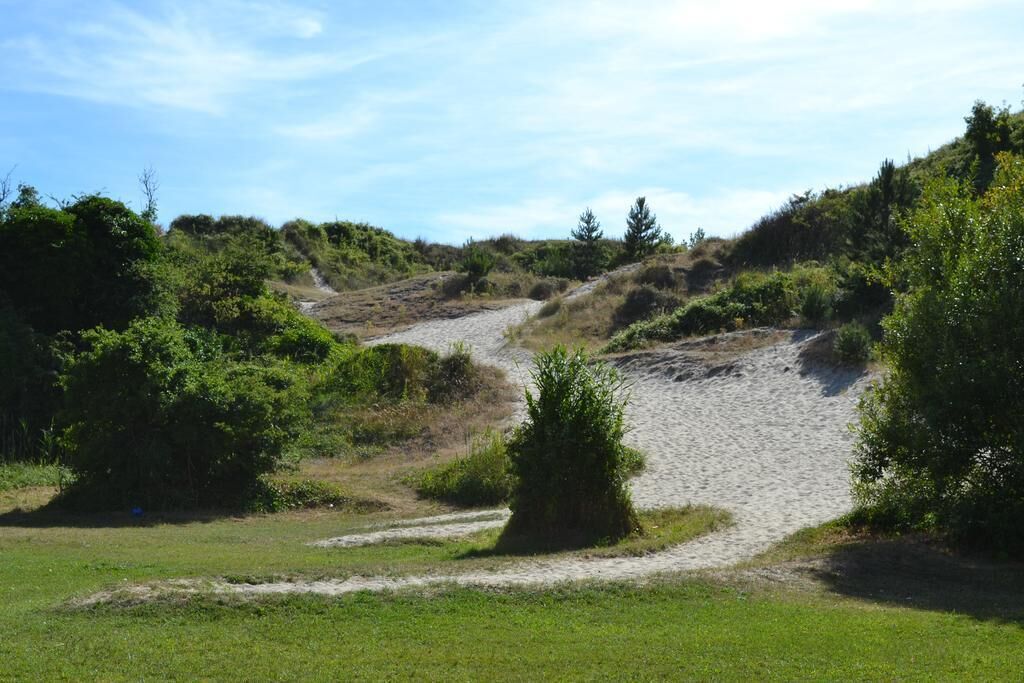 A gravel path leading through a grassy area with dense shrubbery on both sides.