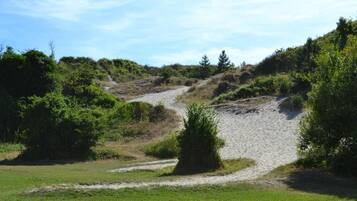 A gravel path leading through a grassy area with dense shrubbery on both sides.