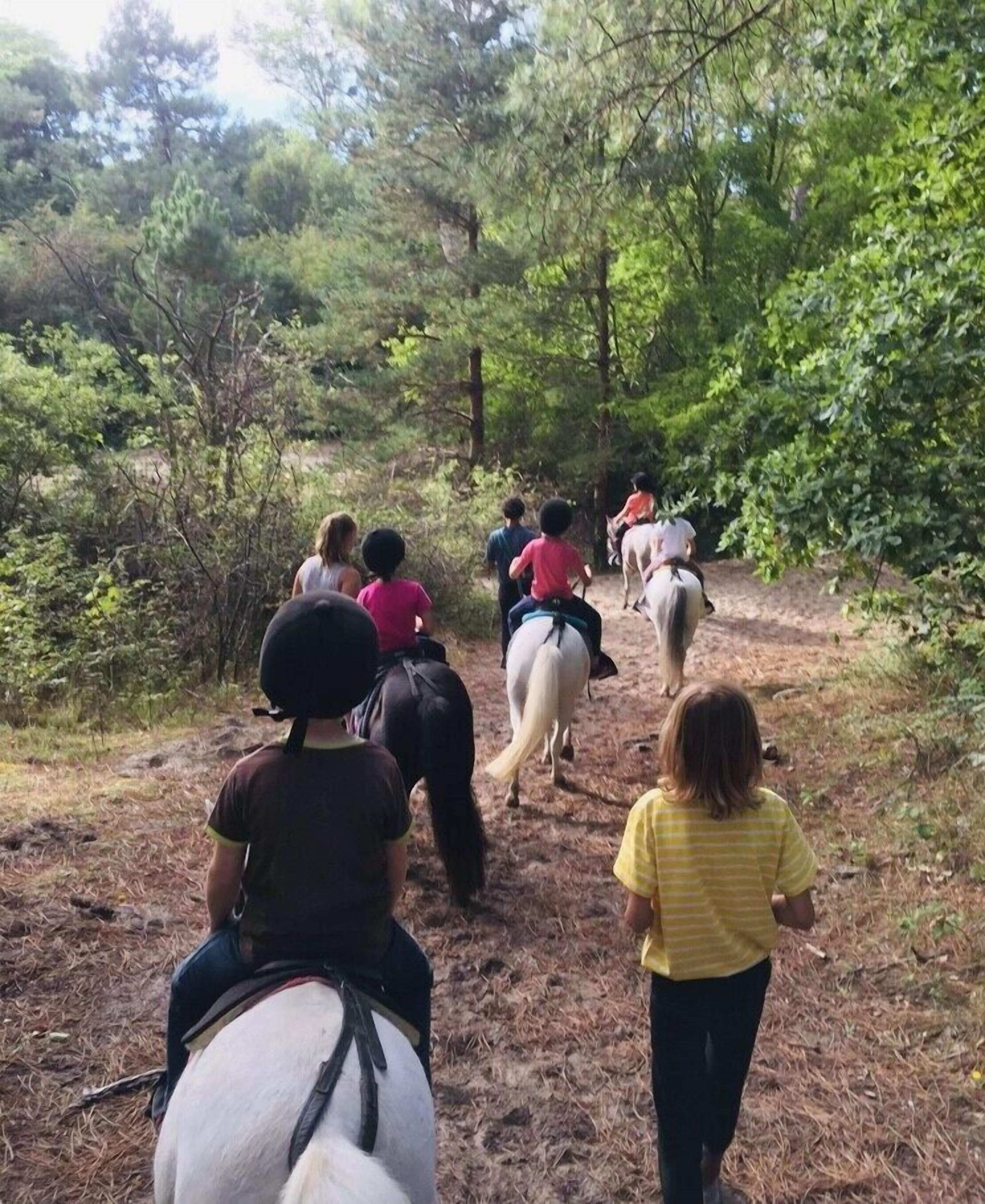 Un grupo de personas montando a caballo por un sendero forestal.