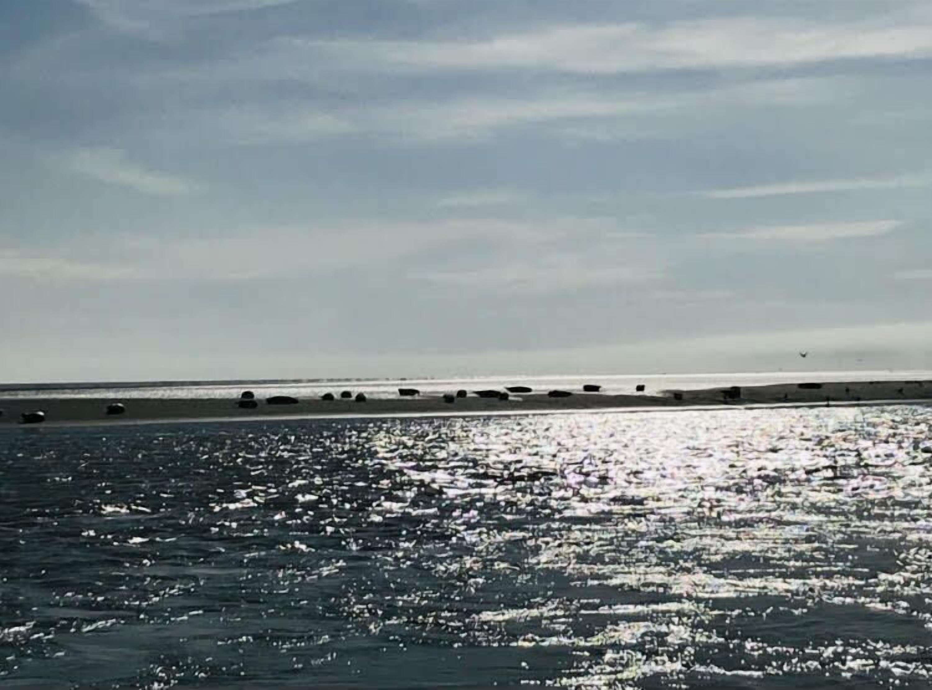 A beach with a row of beach huts and a calm sea under a clear sky.