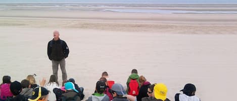 A beach with a group of people gathered, some standing and some sitting, facing a person standing in the middle.