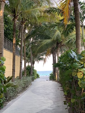 المنطقة المحيطة بالمنشأة